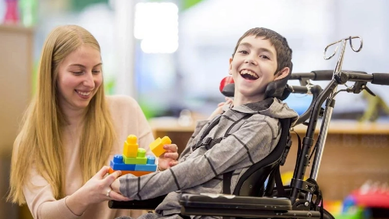 همی پلژی چیست؟